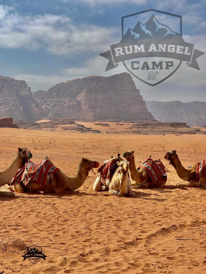 Rum Angel Camp Wadi Rum Exterior foto