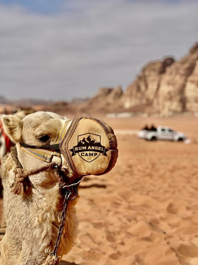 Rum Angel Camp Wadi Rum Exterior foto